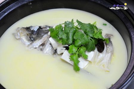砂锅鱼头汤的做法